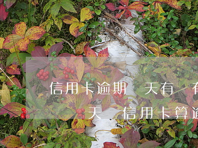 信用卡逾期兩天有沒有關(guān)系(超過兩天還信用卡算逾期嗎)