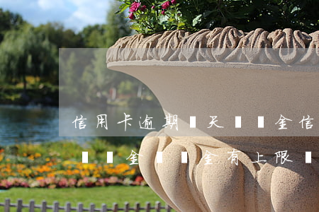 信用卡逾期兩天滯納金(信用卡逾期后利息和違約金滯納金有上限嗎?)
