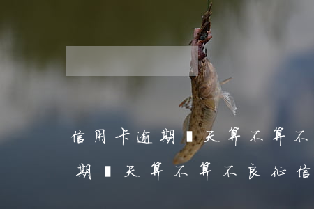信用卡逾期兩天算不算不良征信-信用卡逾期兩天算不算不良征信記錄