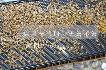 信用卡逾期兩天算不算預(yù)期(信用卡 逾期 兩天)