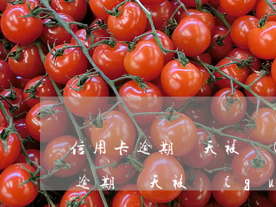信用卡逾期兩天被關(guān)了(信用卡逾期兩天被關(guān)了)