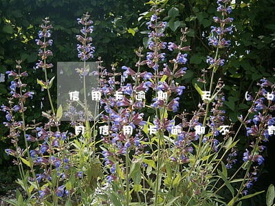 信用卡逾期兩天補(bǔ)救(兩個(gè)月信用卡逾期不還有什么結(jié)果)