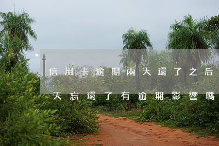 信用卡逾期兩天還了之后還能用嗎(信用卡2天忘還了有逾期影響嗎)