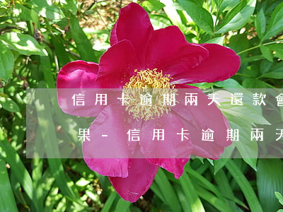 信用卡逾期兩天還款會(huì)有什么后果-信用卡逾期兩天還款會(huì)有什么后果嗎
