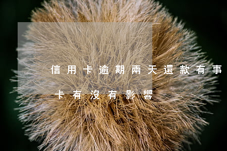 信用卡逾期兩天還款有事嗎(逾期兩天還信用卡有沒有影響)