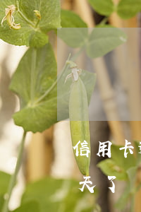 信用卡逾期兩天還能分期嗎(分期付款逾期兩天了會怎樣)