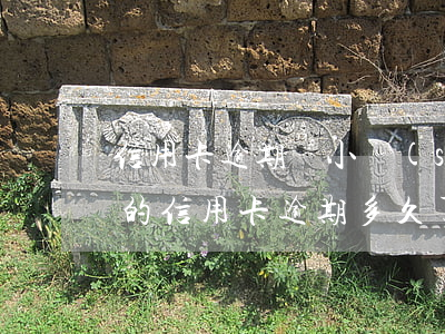 信用卡逾期兩小時(shí)有影響嗎(你們的信用卡逾期多久了)
