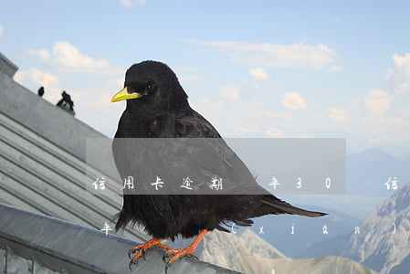 信用卡逾期兩年30萬(信用卡30萬逾期三年沒還現(xiàn)在還得還多少錢)