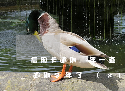 信用卡逾期兩年一直沒(méi)還(信用卡逾期2年了現(xiàn)在想還)