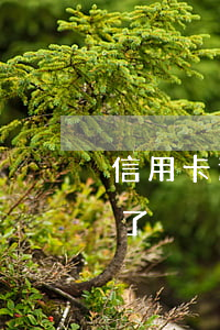 信用卡逾期兩年不還了(信用卡逾期兩年不還了)