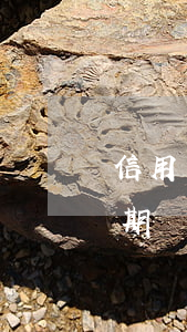 信用卡逾期兩年不還有什么影響-信用卡逾期兩年不還有什么影響嗎