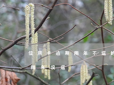 信用卡逾期兩年不還的后果-欠信用卡逾期兩年沒還