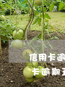 信用卡逾期兩年了利息怎么算-兩千的信用卡逾期五年大約多少利息