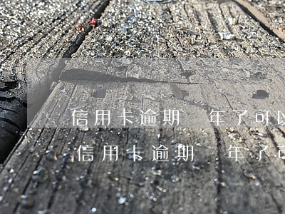 信用卡逾期兩年了可以買機(jī)票嗎-信用卡逾期兩年了可以買機(jī)票嗎現(xiàn)在