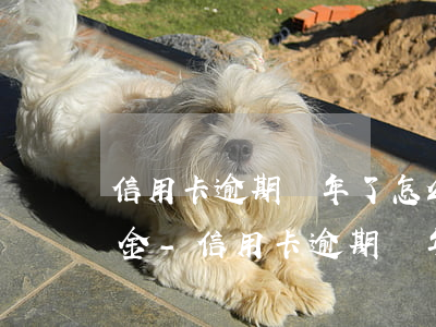 信用卡逾期兩年了怎么協(xié)商還本金-信用卡逾期兩年了怎么協(xié)商還本金呢