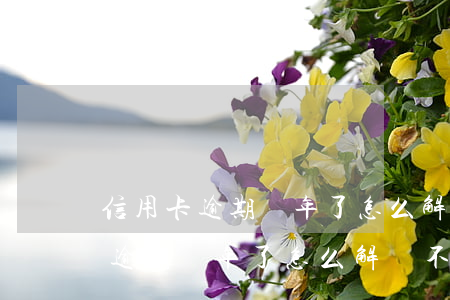 信用卡逾期兩年了怎么解決不了了-信用卡逾期兩年了怎么解決不了了呢