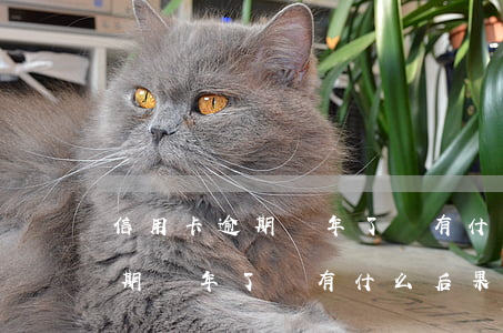 信用卡逾期兩年了會有什么后果-信用卡逾期兩年了會有什么后果嗎