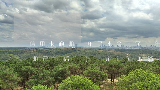 信用卡逾期兩年了本金還了(兩年前信用卡逾期已還后來(lái)取消卡了)