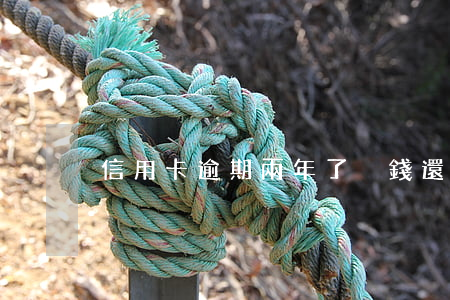 信用卡逾期兩年了沒錢還怎么辦