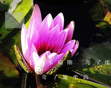 信用卡逾期兩年了能坐高鐵嗎-信用卡逾期兩年了能坐高鐵嗎現(xiàn)在
