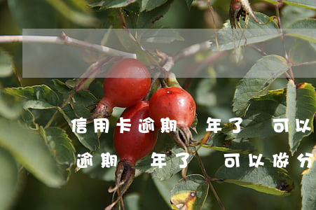 信用卡逾期兩年了還可以做分期嗎-信用卡逾期兩年了還可以做分期嗎