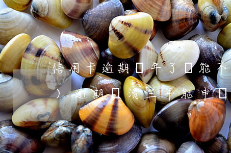 信用卡逾期兩年了還能不能申請(qǐng)(逾期還清三年能申請(qǐng)信用卡嗎)