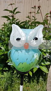 信用卡逾期兩年內(nèi)可以消除嗎(信用卡逾期兩年內(nèi)可以消除嗎貼吧)