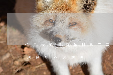 信用卡逾期兩年利息不再增加了(有信用卡逾期幾年不還的嗎)