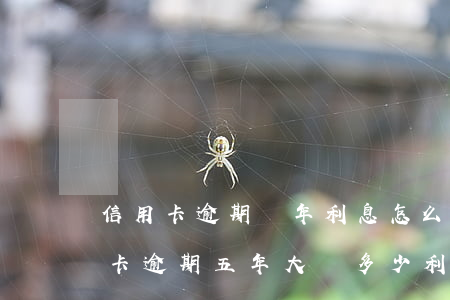 信用卡逾期兩年利息怎么計算-兩千的信用卡逾期五年大約多少利息