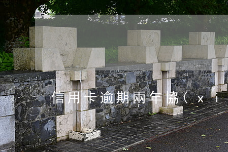 信用卡逾期兩年協(xié)商分期