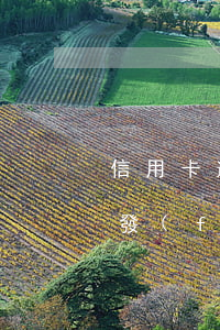 信用卡逾期兩年協(xié)商只還本金浦發(fā)-浦發(fā)逾期協(xié)商還款只給一年時(shí)間卡還不能用