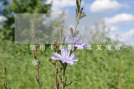 信用卡逾期兩年又催收-逾期兩天被頻繁催收