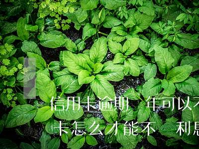信用卡逾期兩年可以不還利息嗎(還逾期信用卡怎么才能不還利息)
