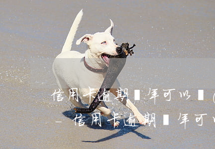 信用卡逾期兩年可以協(xié)商還款嗎-信用卡逾期兩年可以協(xié)商還款嗎