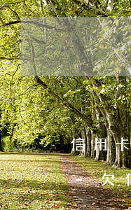 信用卡逾期兩年可以協(xié)商還款嗎-欠信用卡可以和銀行協(xié)商兩年后還嗎