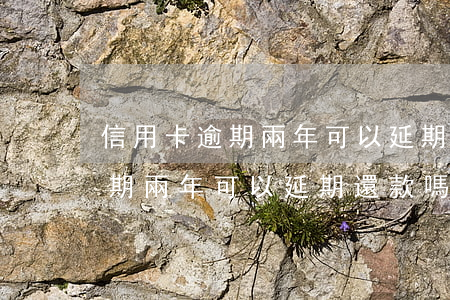 信用卡逾期兩年可以延期還款嗎-信用卡逾期兩年可以延期還款嗎