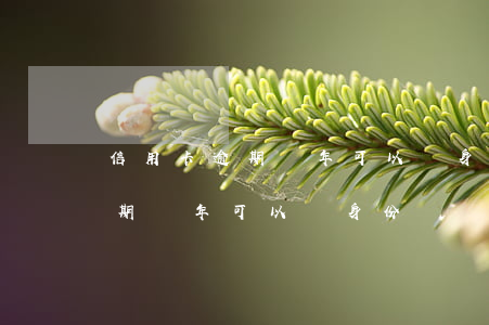 信用卡逾期兩年可以換身份證嗎-信用卡逾期兩年可以換身份證嗎
