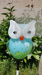 信用卡逾期兩年后來全還(信用卡逾期3年后我全部還清)