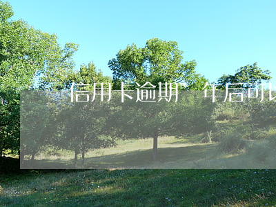 信用卡逾期兩年后可以銷戶