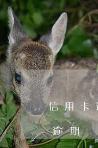 信用卡逾期兩年后會(huì)怎樣(信用卡逾期兩年后會(huì)怎樣處理)