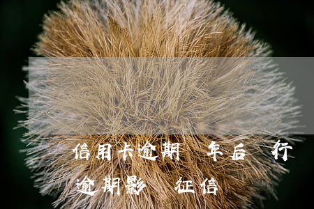 信用卡逾期兩年后銀行會查嗎(三年前信用卡逾期影響征信嗎)