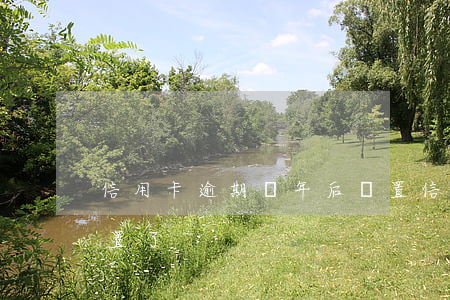 信用卡逾期兩年后閑置(信用卡逾期兩年后閑置了)