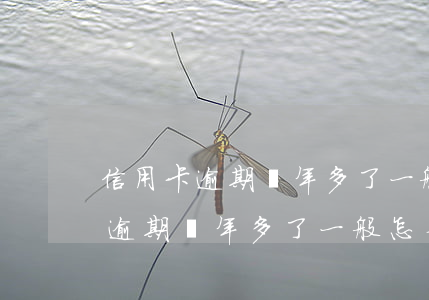 信用卡逾期兩年多了一般怎么處理-信用卡逾期兩年多了一般怎么處理的