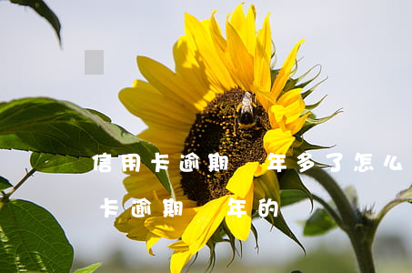 信用卡逾期兩年多了怎么停息-有沒有信用卡逾期兩年的