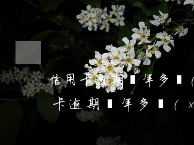 信用卡逾期兩年多協(xié)商技巧(信用卡逾期兩年多協(xié)商技巧)