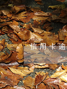 信用卡逾期兩年多家銀行(信用卡逾期好幾年)
