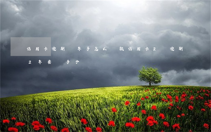 信用卡逾期兩年多怎么還款(信用卡2萬逾期2年要還多少)