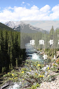 信用卡逾期兩年多會(huì)坐牢嗎(欠信用卡18000逾期了三個(gè)月會(huì)坐牢嗎)