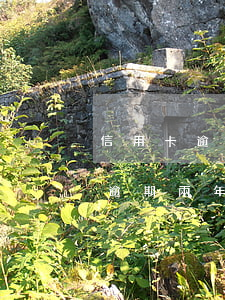 信用卡逾期兩年多無力償還怎么辦-信用卡逾期兩年多無力償還怎么辦呢