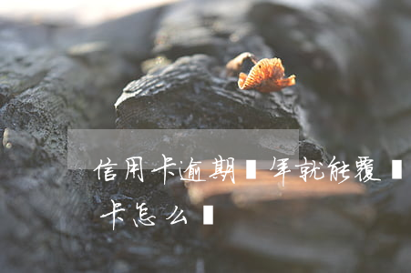信用卡逾期兩年就能覆蓋嗎(逾期兩年的信用卡怎么還)